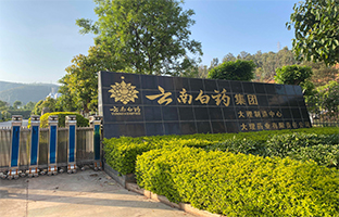云南白药.jpg